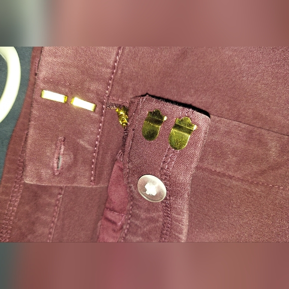 Womans Petite Isaac Mizrahi Live! Straight Leg Pants Spiced Wine Plus Size 22WP - Picture 4 of 7